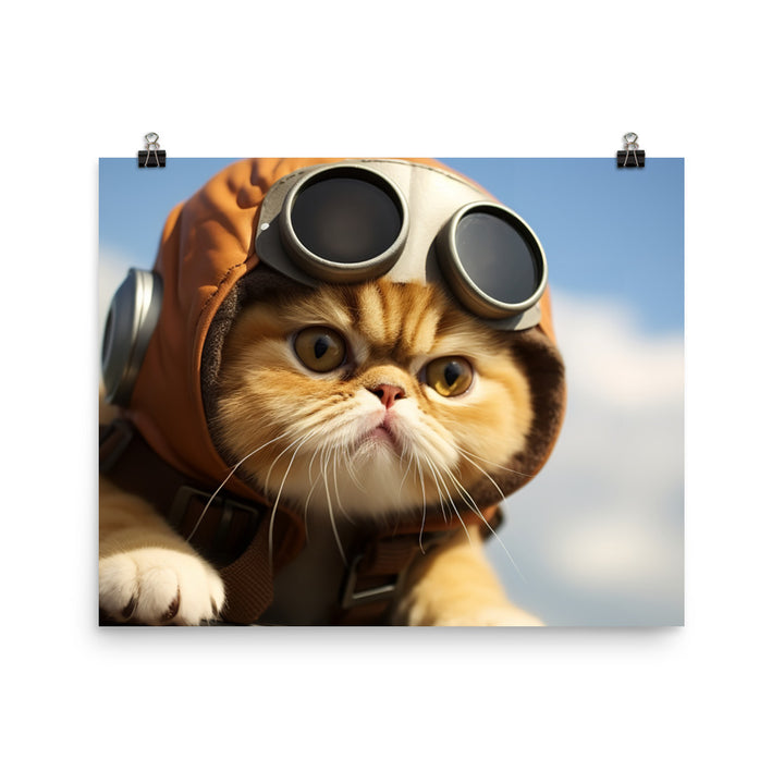 Exotic Shorthair Pilot Photo paper poster - PosterfyAI.com