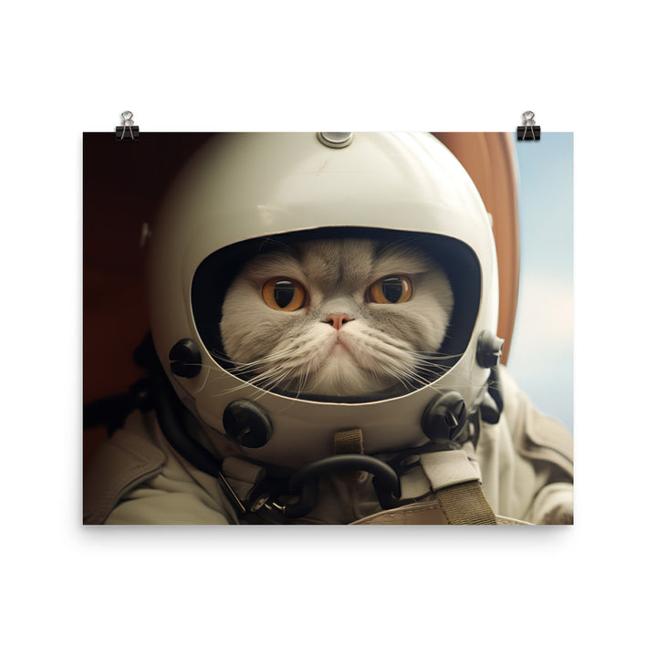 Exotic Shorthair Pilot Photo paper poster - PosterfyAI.com