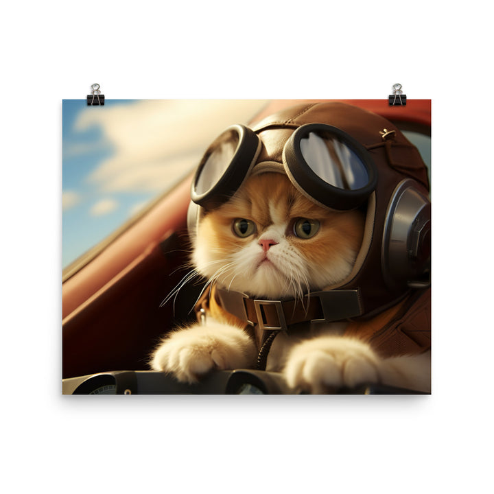 Exotic Shorthair Pilot Photo paper poster - PosterfyAI.com