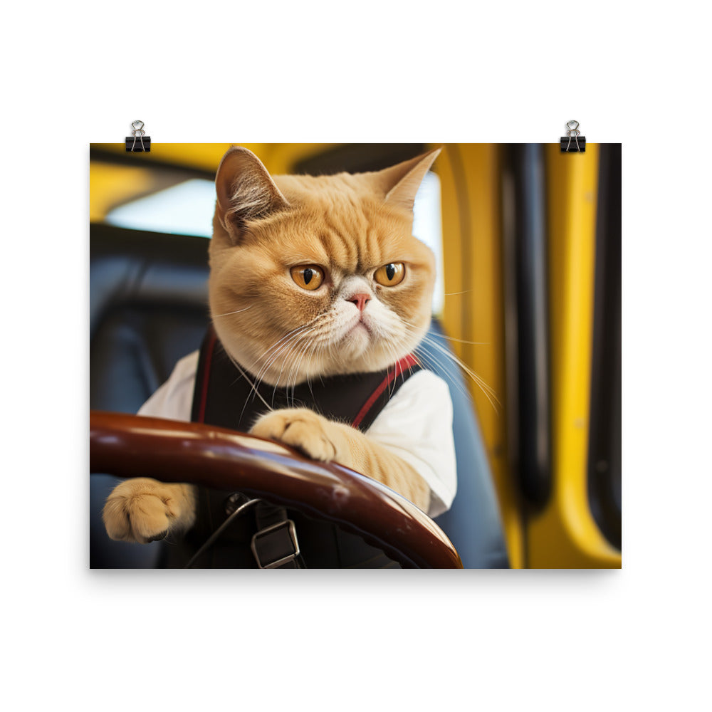 Exotic Shorthair Transit Operator Photo paper poster - PosterfyAI.com