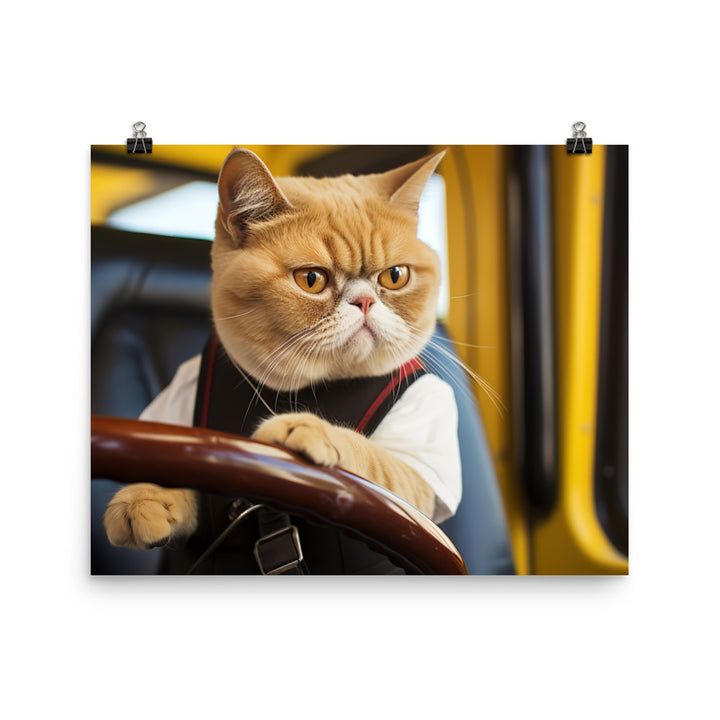 Exotic Shorthair Transit Operator Photo paper poster - PosterfyAI.com