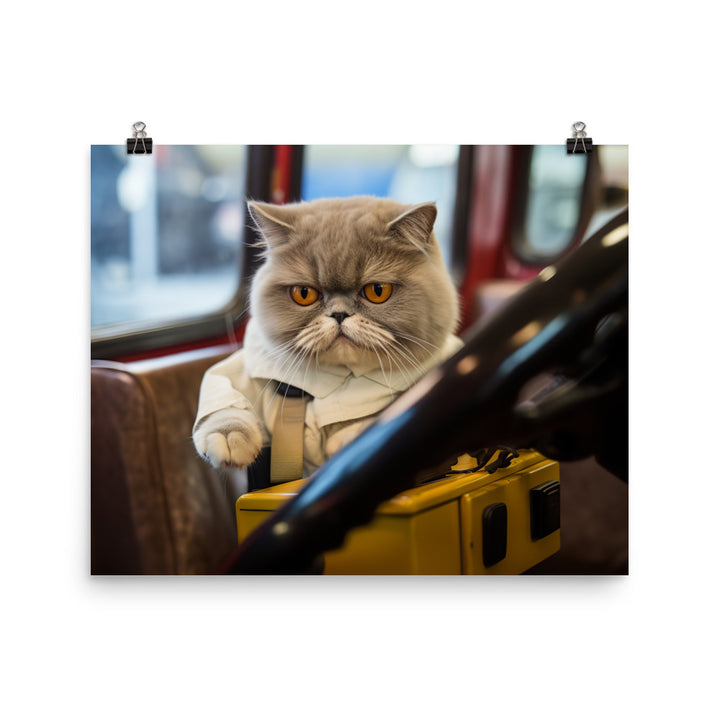 Exotic Shorthair Transit Operator Photo paper poster - PosterfyAI.com