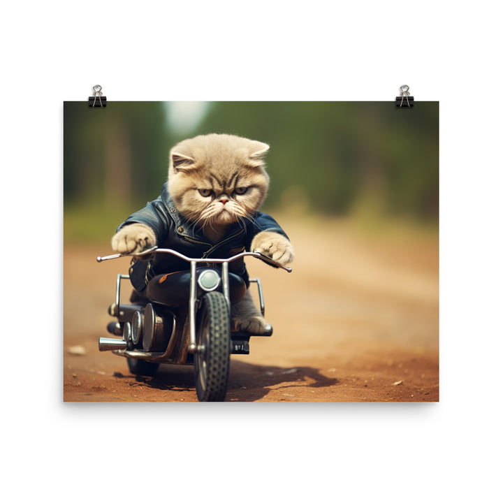 Exotic Shorthair Superbike Athlete Photo paper poster - PosterfyAI.com