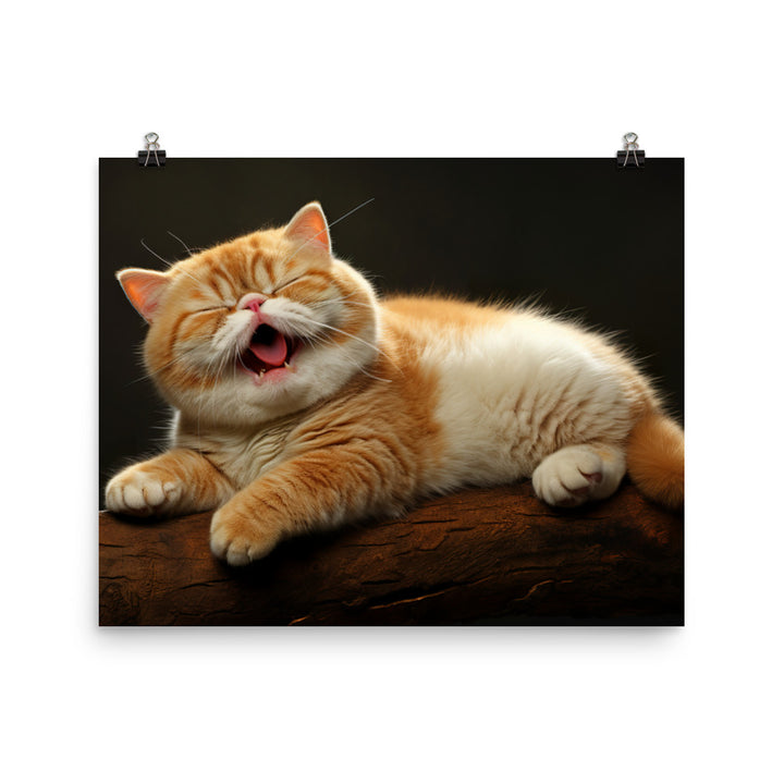 Exotic Shorthair Photo paper poster - PosterfyAI.com