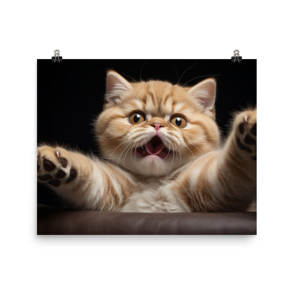 Exotic Shorthair Photo paper poster - PosterfyAI.com