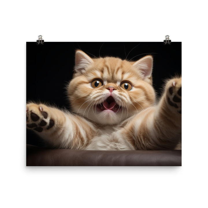 Exotic Shorthair Photo paper poster - PosterfyAI.com