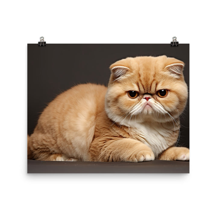 Exotic Shorthair Photo paper poster - PosterfyAI.com