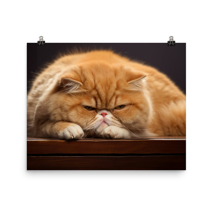 Exotic Shorthair Photo paper poster - PosterfyAI.com