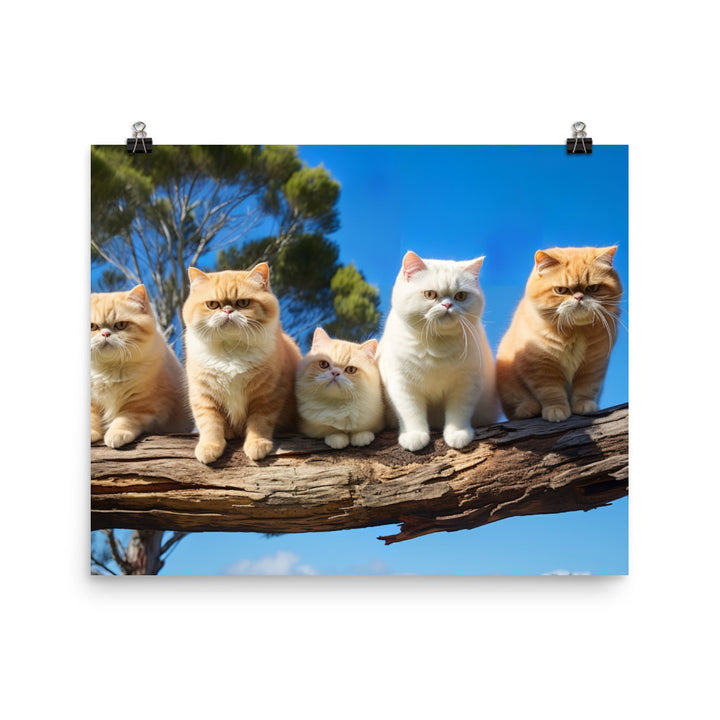 Exotic Shorthair Photo paper poster - PosterfyAI.com