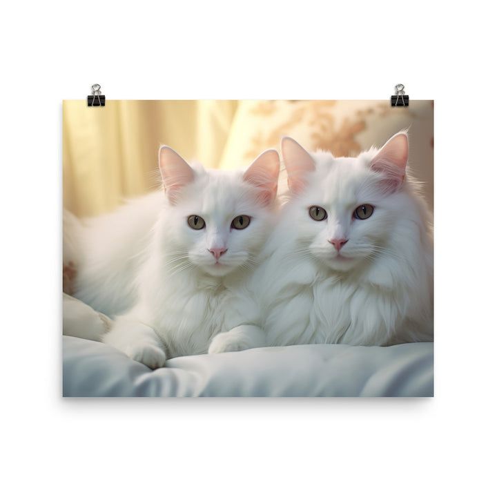 Turkish Van Photo paper poster - PosterfyAI.com