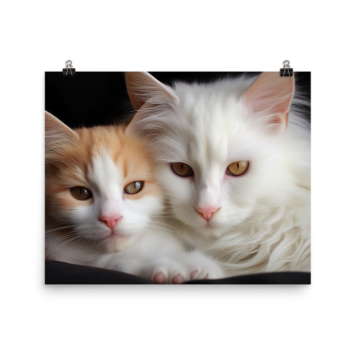 Turkish Van Photo paper poster - PosterfyAI.com