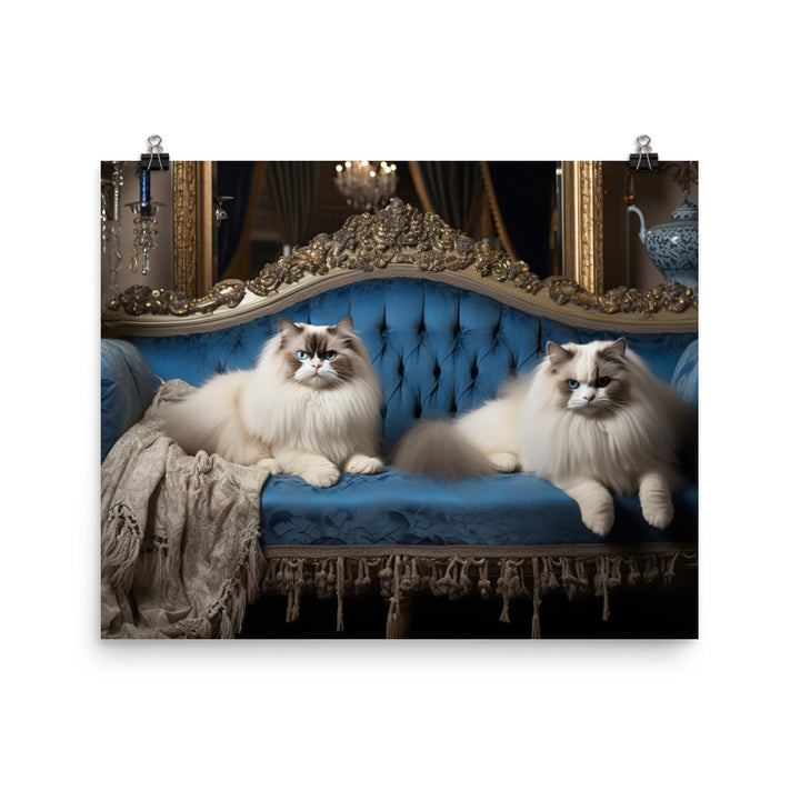 Ragdoll Photo paper poster - PosterfyAI.com