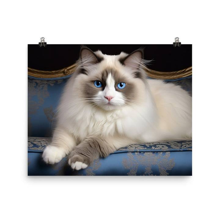 Ragdoll Photo paper poster - PosterfyAI.com