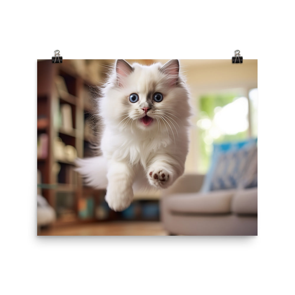 Ragdoll Photo paper poster - PosterfyAI.com