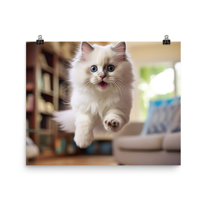 Ragdoll Photo paper poster - PosterfyAI.com