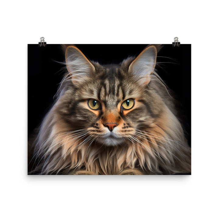 Maine Coon Photo paper poster - PosterfyAI.com