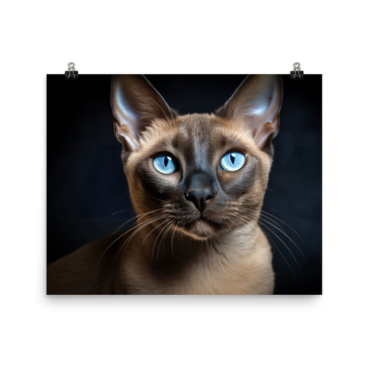 Tonkinese Photo paper poster - PosterfyAI.com