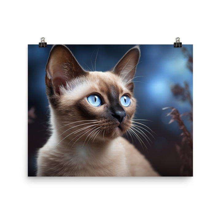 Tonkinese Photo paper poster - PosterfyAI.com