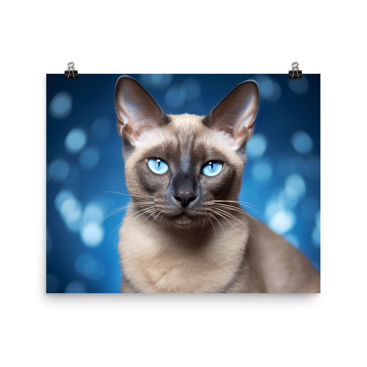 Tonkinese Photo paper poster - PosterfyAI.com