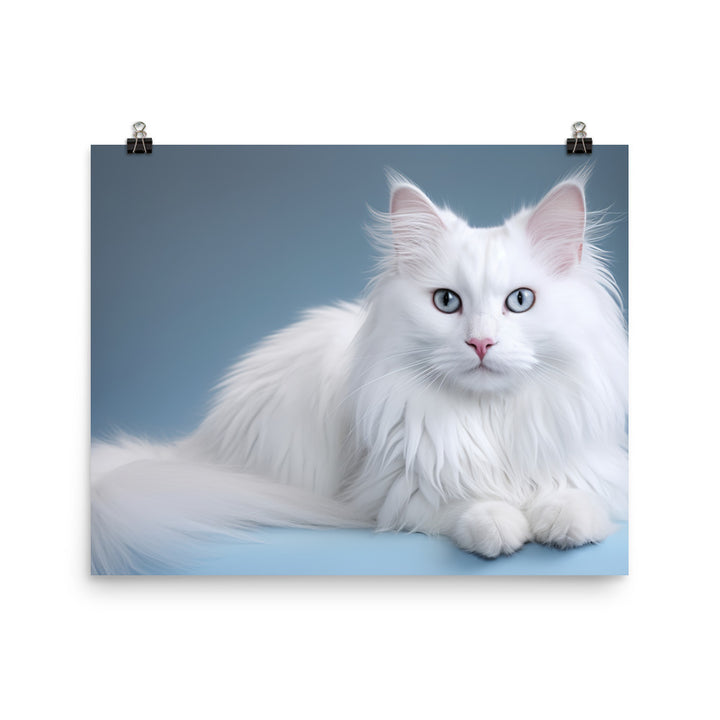 Turkish Angora Photo paper poster - PosterfyAI.com