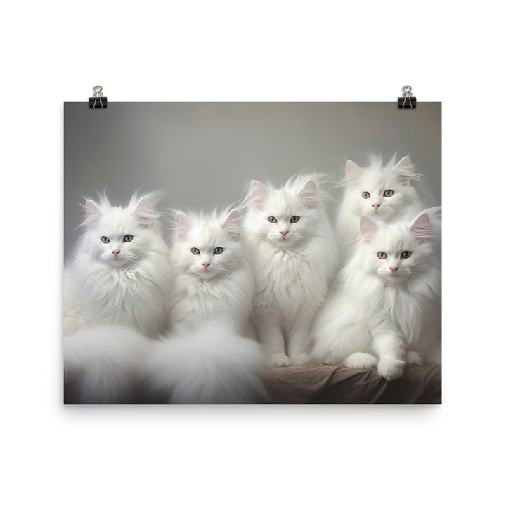 Turkish Angora Photo paper poster - PosterfyAI.com