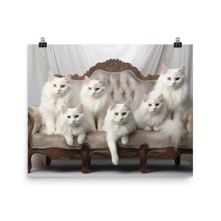 Turkish Angora Photo paper poster - PosterfyAI.com