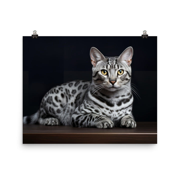 Egyptian Mau Photo paper poster - PosterfyAI.com