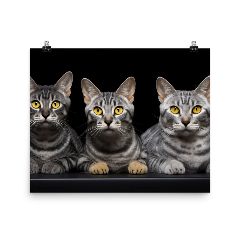 Egyptian Mau Photo paper poster - PosterfyAI.com