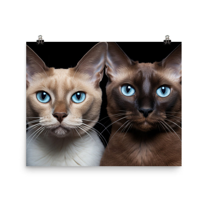 Burmese Photo paper poster - PosterfyAI.com
