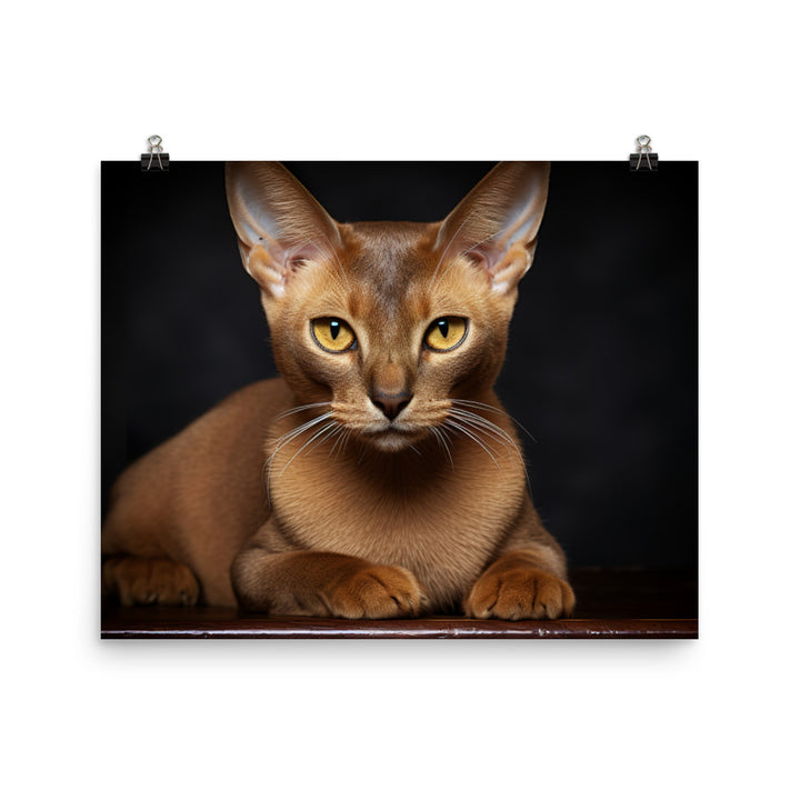 Burmese Photo paper poster - PosterfyAI.com