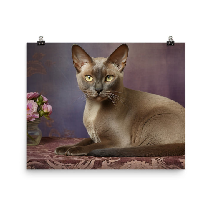 Burmese Photo paper poster - PosterfyAI.com