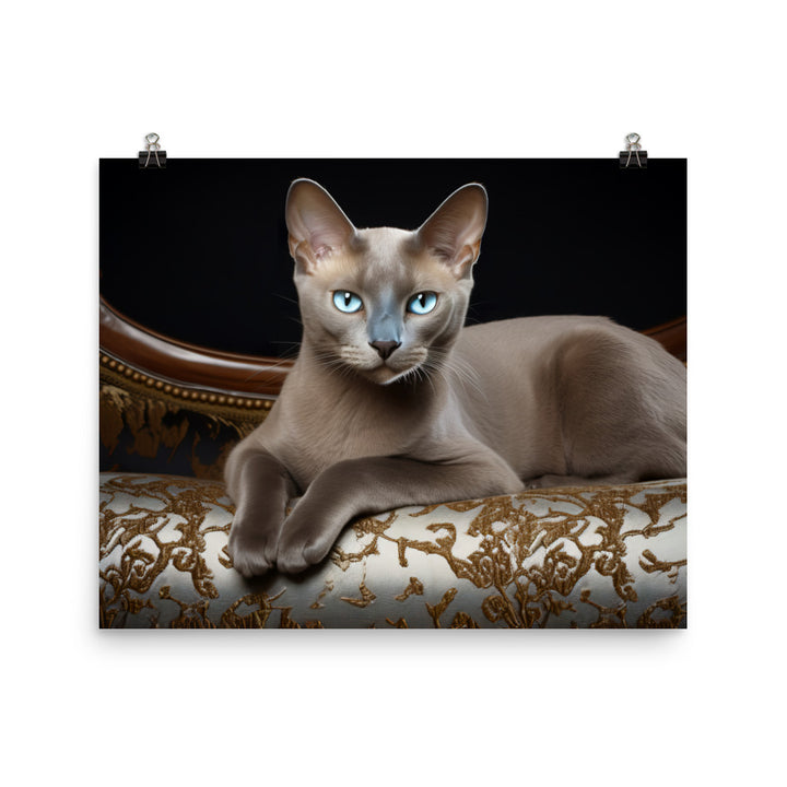 Burmese Photo paper poster - PosterfyAI.com
