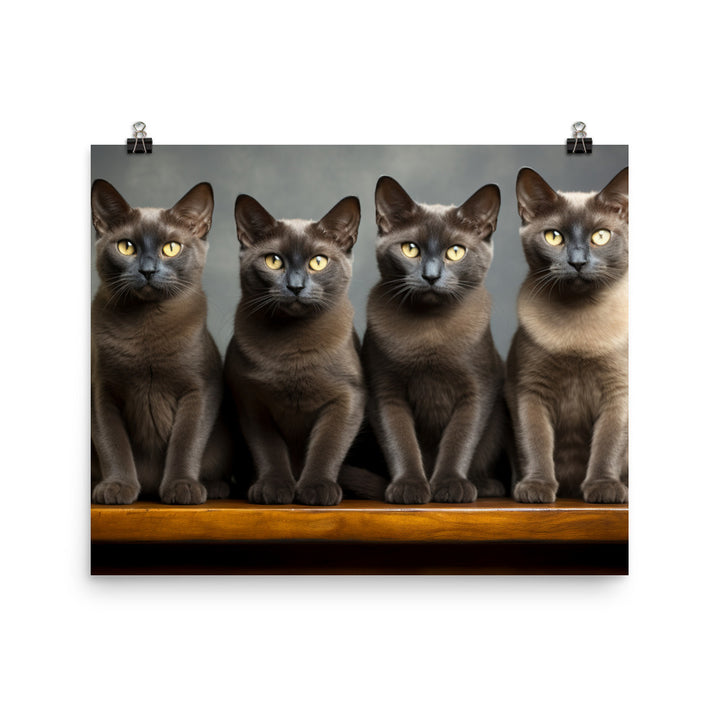 Burmese Photo paper poster - PosterfyAI.com