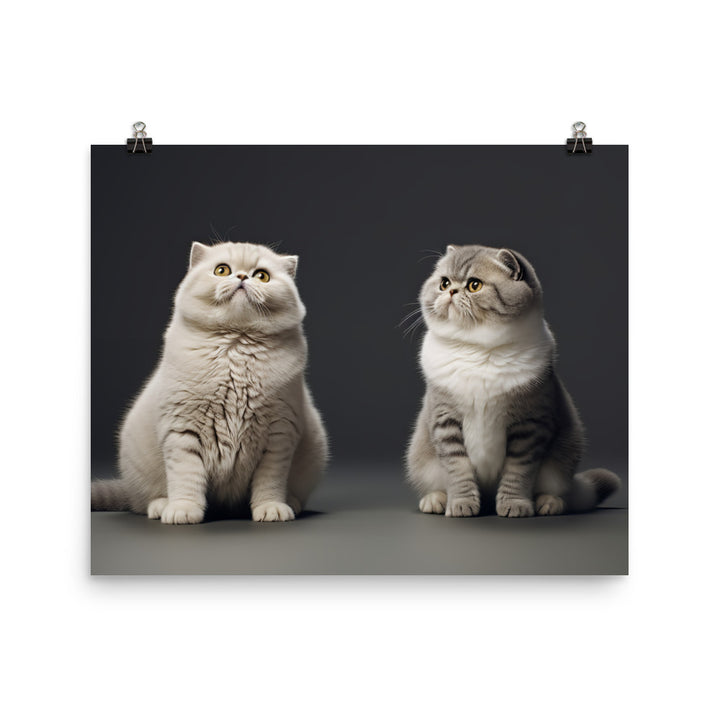Scottish Fold Photo paper poster - PosterfyAI.com