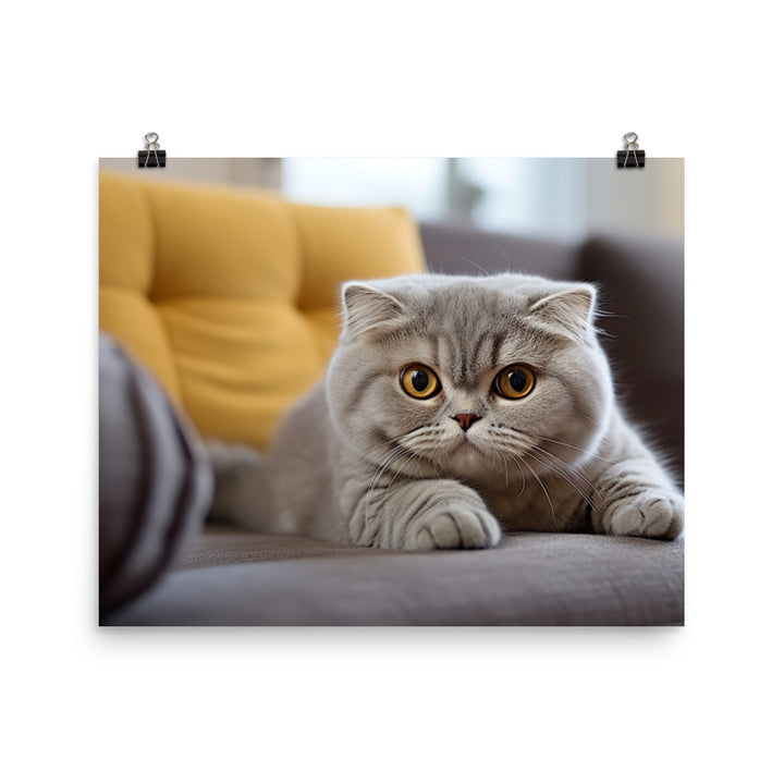 Scottish Fold Photo paper poster - PosterfyAI.com
