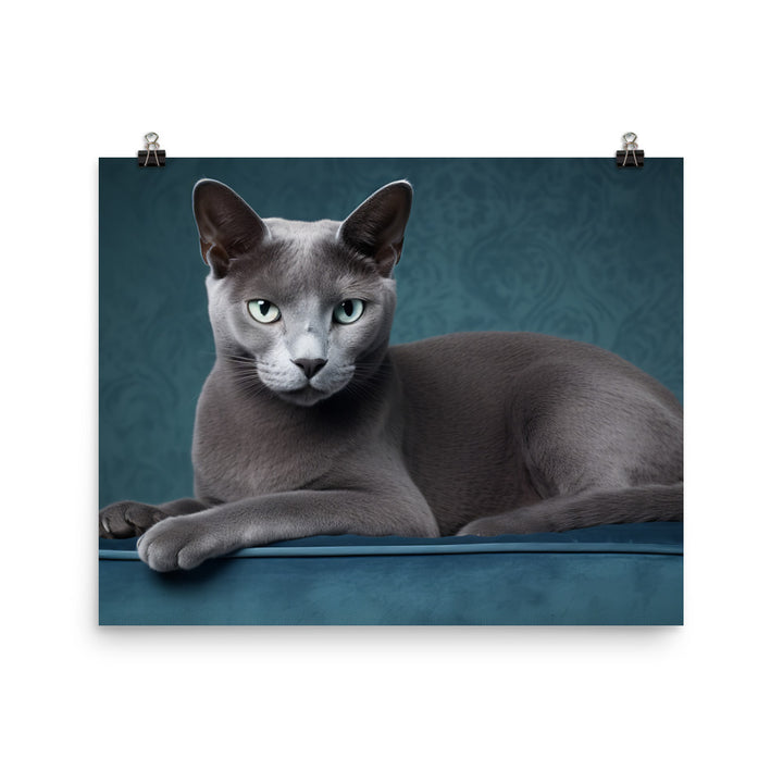 Russian Blue Photo paper poster - PosterfyAI.com