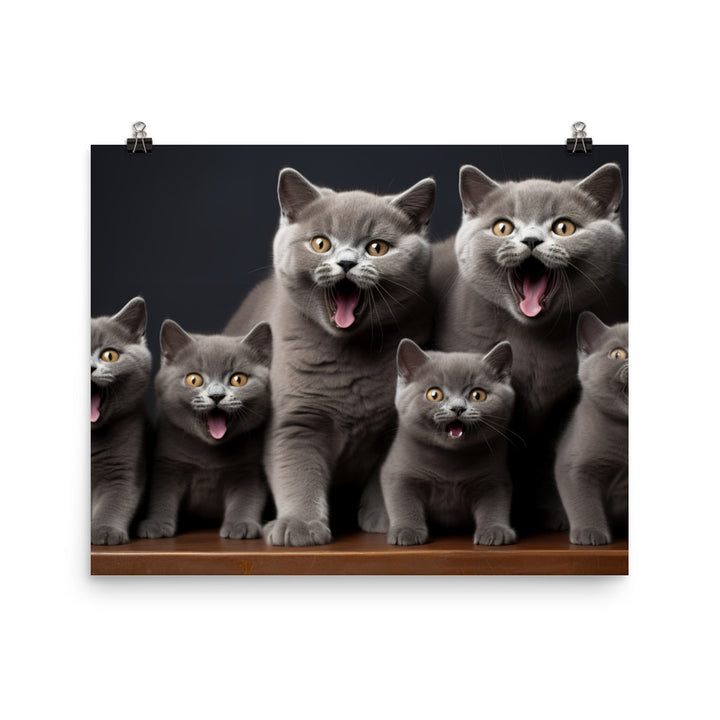 British Shorthair Photo paper poster - PosterfyAI.com
