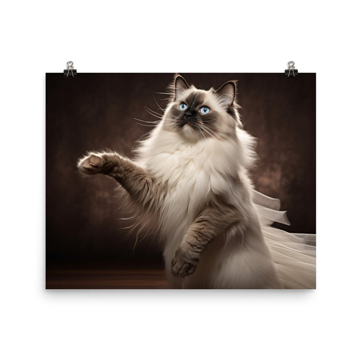 Birman Photo paper poster - PosterfyAI.com