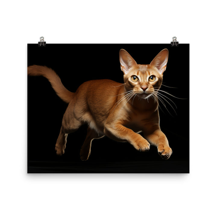 Abyssinian Photo paper poster - PosterfyAI.com