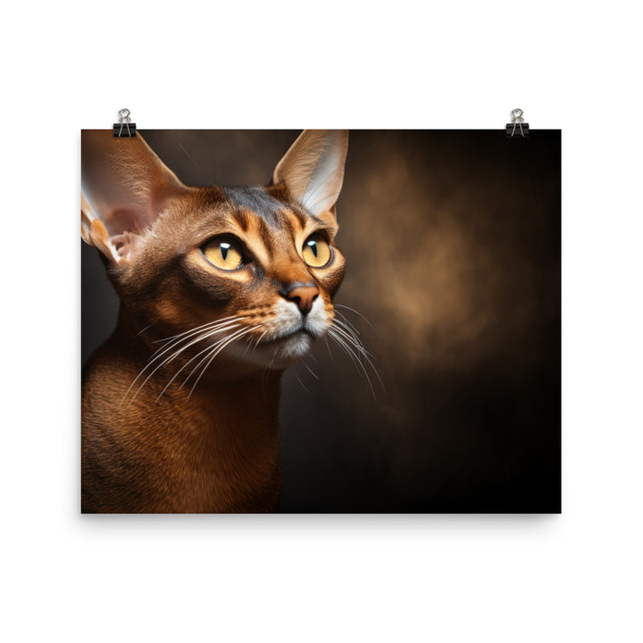 Abyssinian Photo paper poster - PosterfyAI.com