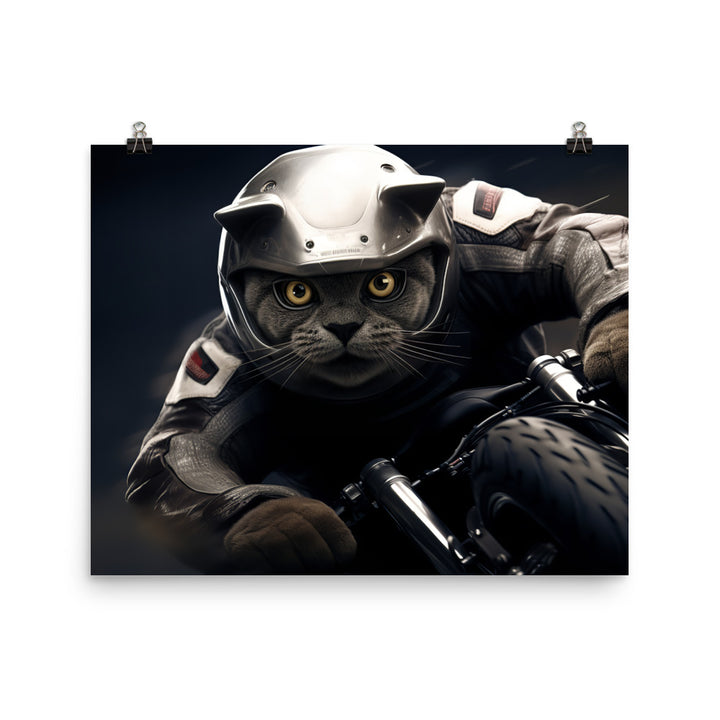 British Shorthair Superbike Athlete Photo paper poster - PosterfyAI.com