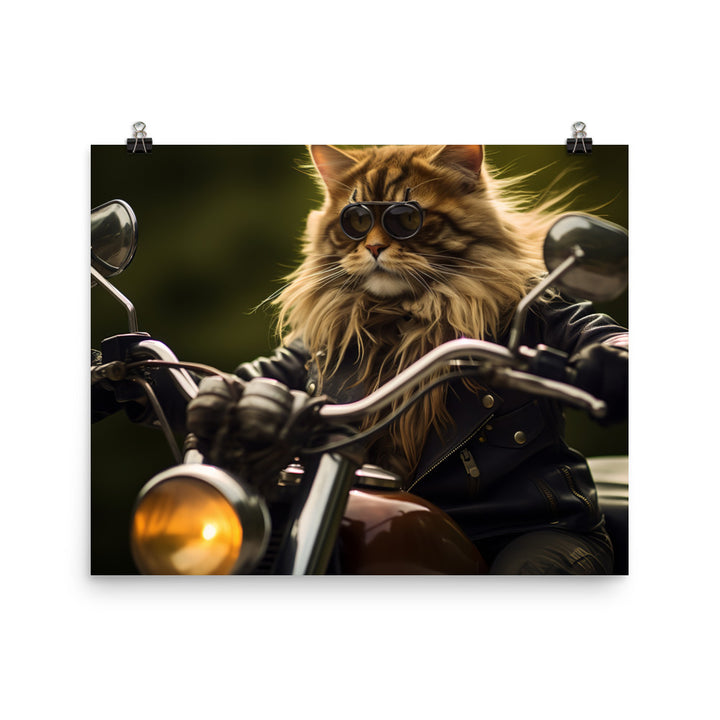 Maine Coon Superbike Athlete Photo paper poster - PosterfyAI.com
