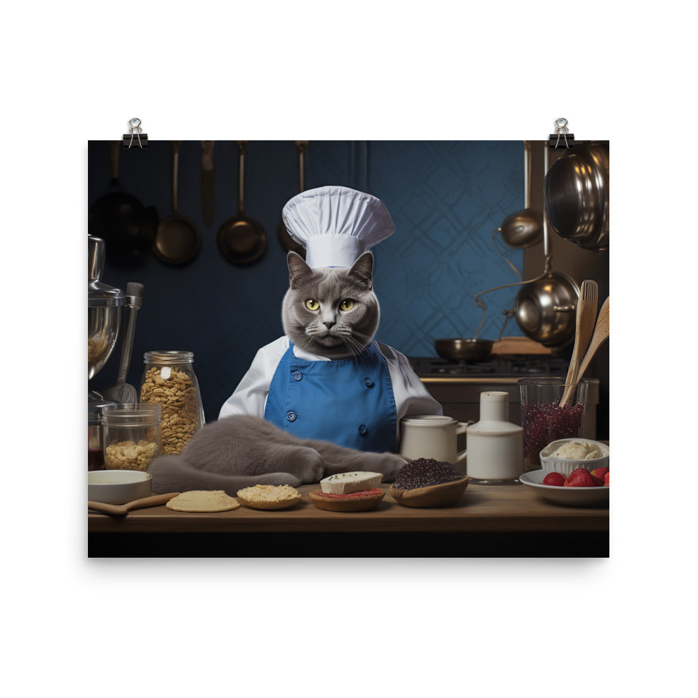 Russian Blue Chef Photo paper poster - PosterfyAI.com