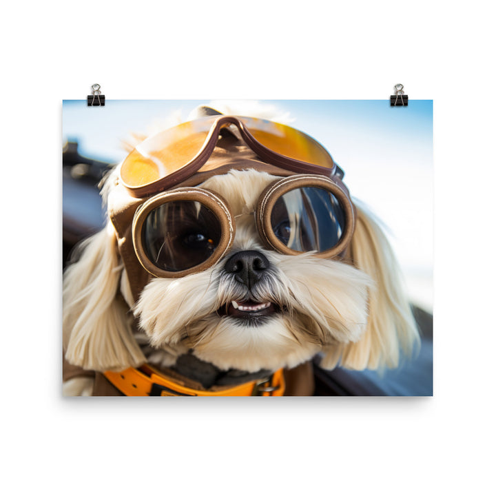 Lhasa Apso Pilot Photo paper poster - PosterfyAI.com