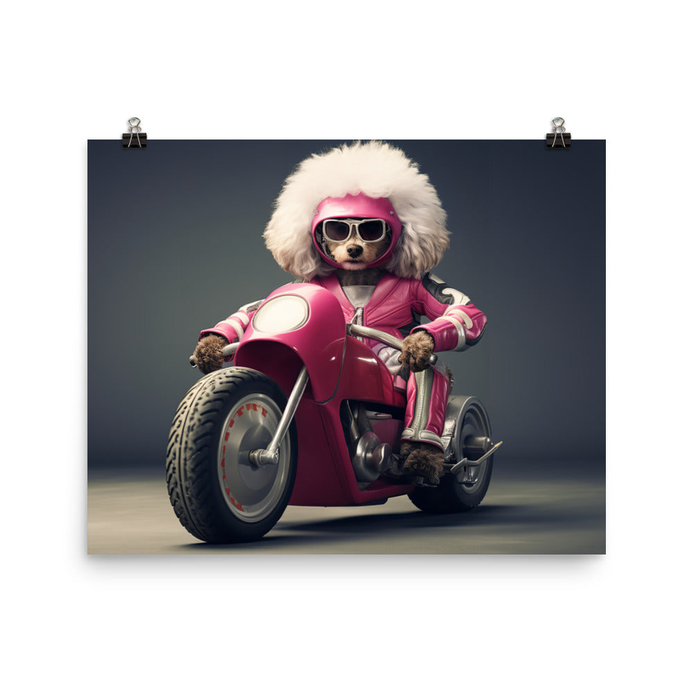Poodle Superbike Athlete Photo paper poster - PosterfyAI.com