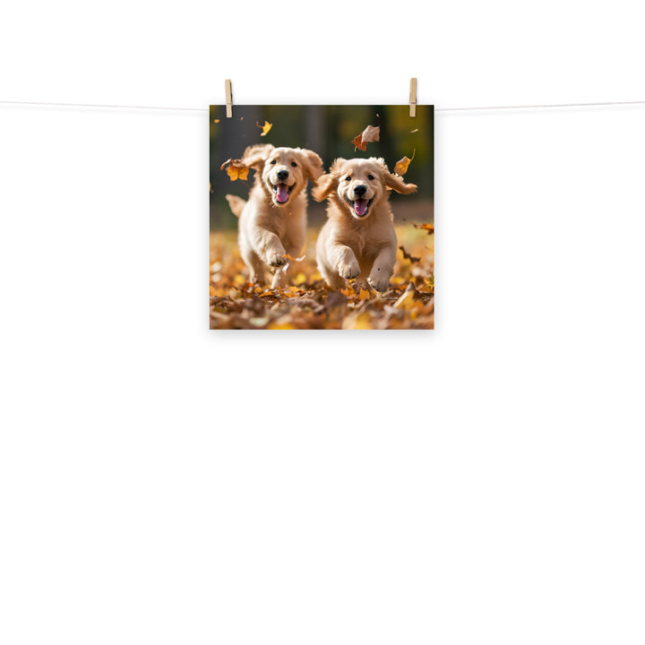 Golden Retriever Photo paper poster - PosterfyAI.com