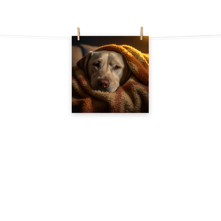 Labrador Retriever Photo paper poster - PosterfyAI.com