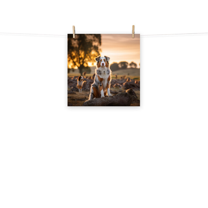 Australian Shepherd Photo paper poster - PosterfyAI.com