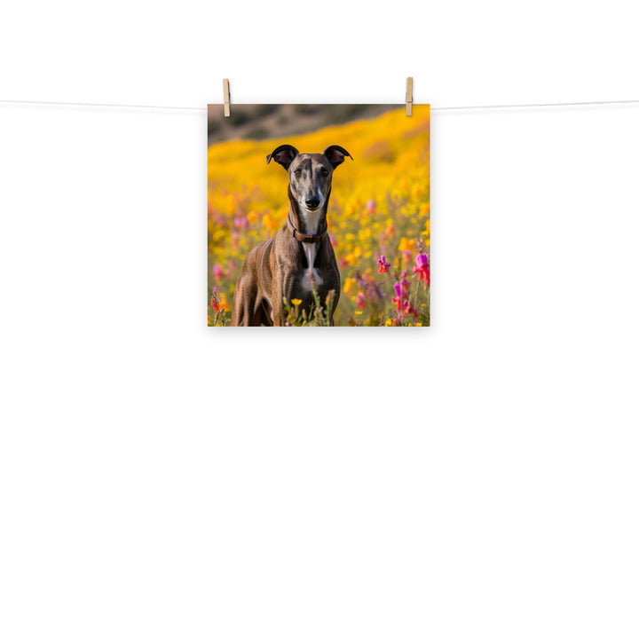 Greyhound Photo paper poster - PosterfyAI.com