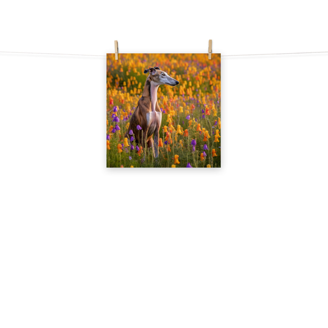 Greyhound Photo paper poster - PosterfyAI.com